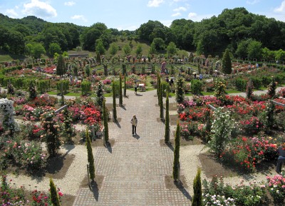 花フェスタ記念公園