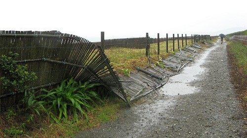 平塚の海