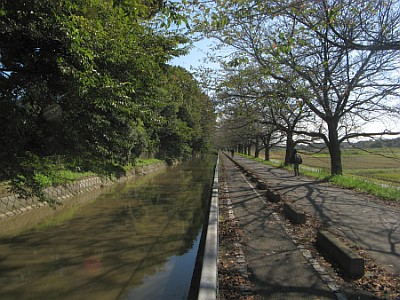 見沼代用水路