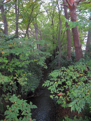 玉川上水