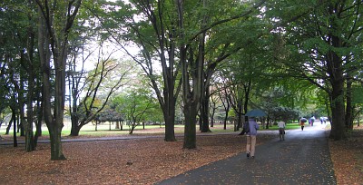 小金井公園