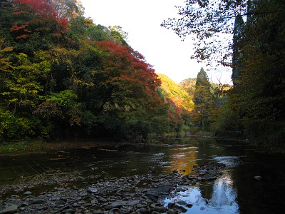 養老川