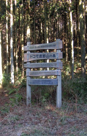 ドコモ鹿野山の森