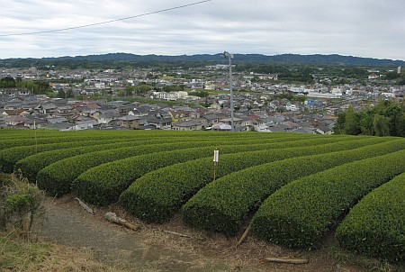 菊川市街