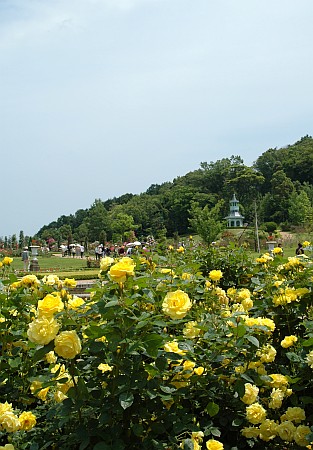 河津バガテル公園