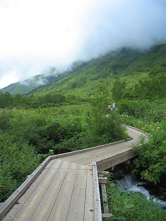 栂池自然園