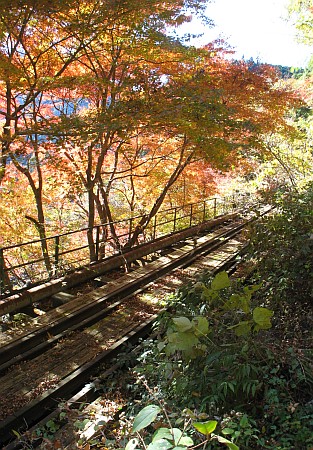 水根貨物線跡