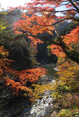 多摩川