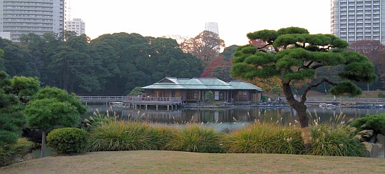 中島の御茶屋