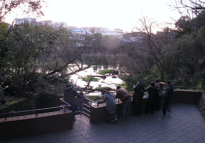 柿田川公園