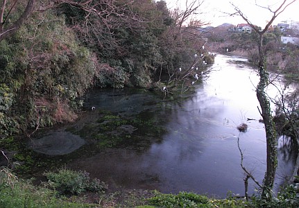 柿田川湧水群