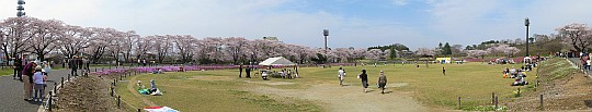 長峰公園