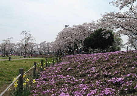 長峰公園