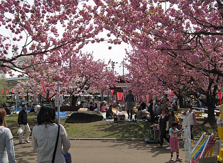 天平の丘公園