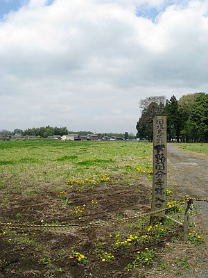 下野国分寺跡