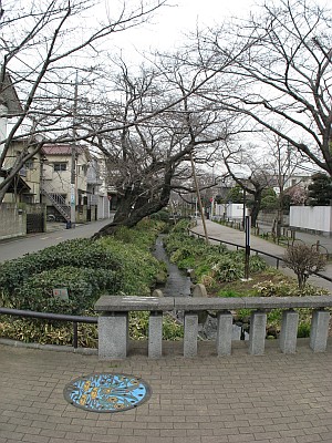 北沢川緑道