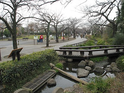 北沢川緑道