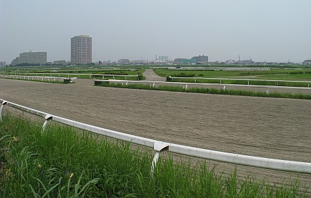 川崎競馬小向練習馬場