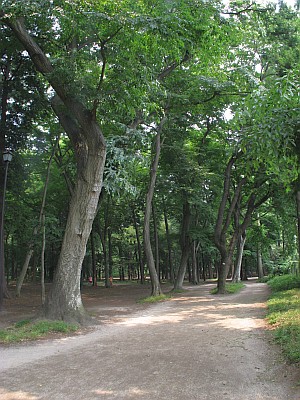 井の頭公園