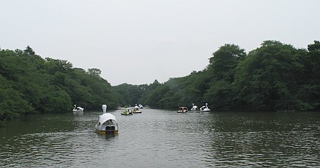 井の頭公園