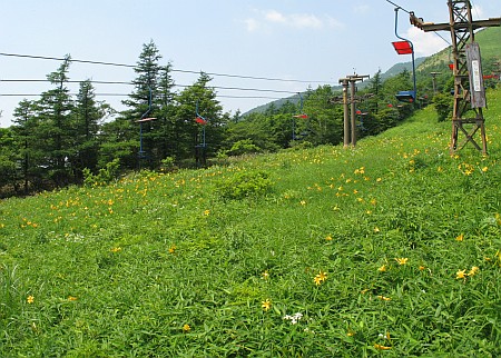 霧降高原