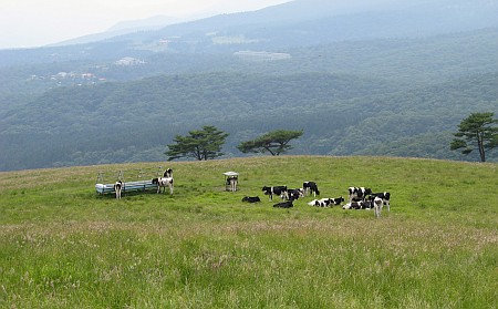 霧降牧場