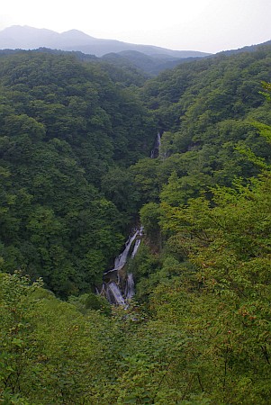 霧降の滝