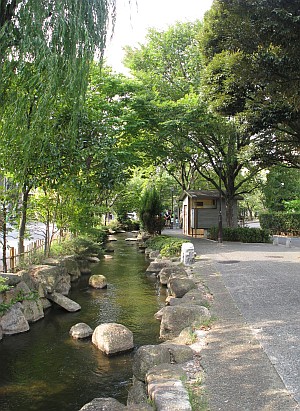 小松川境川親水公園