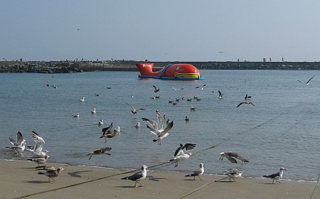 平磯海水浴場