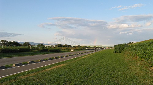 淀川河川公園