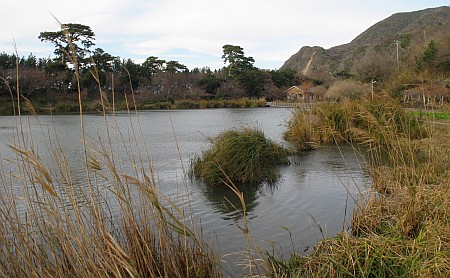 明神池