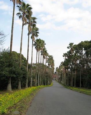 伊豆海洋公園