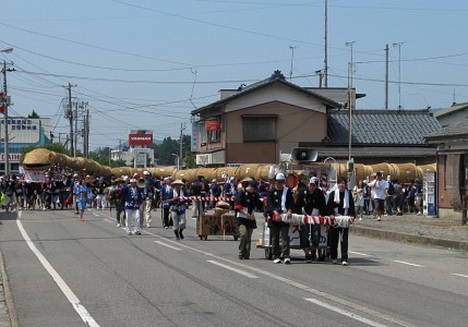 大したもん蛇まつり