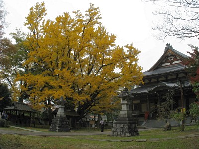 西念寺