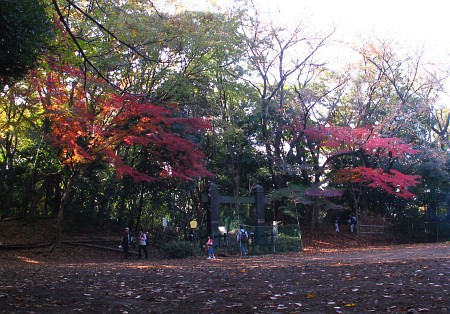 小机城址市民の森