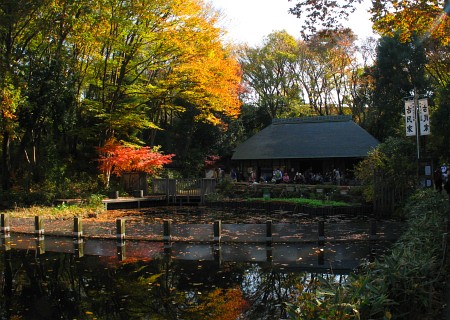 せせらぎ公園 古民家