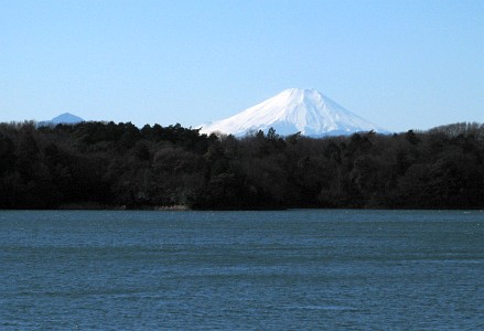 多摩湖