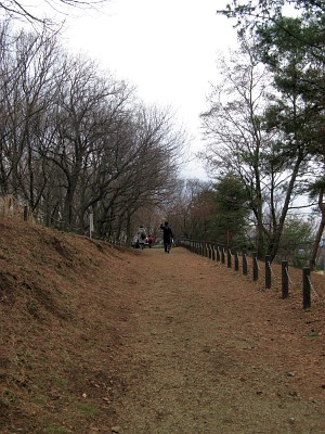 多摩よこやまの道