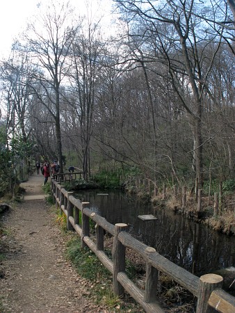 黒川清流公園