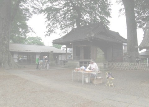 ぐりぐり写真:八枝神社