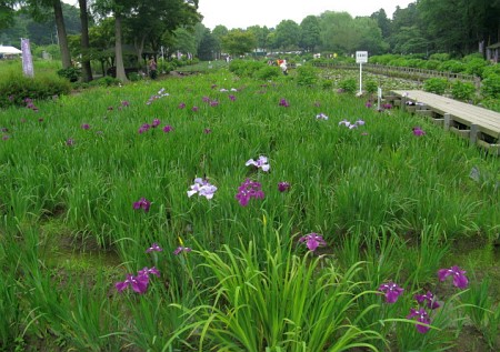 上尾丸山公園