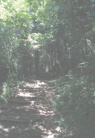 ぐりぐり写真:野山北・六道山公園