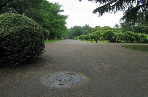 小石川植物園