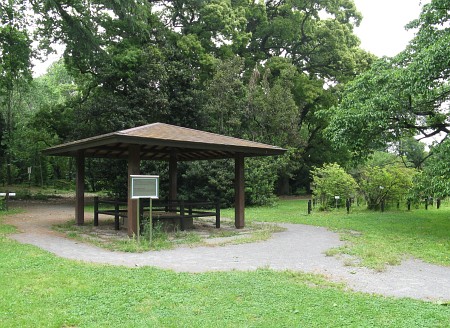 小石川植物園 小石川養生所の井戸