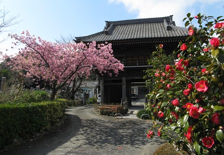 稲田寺