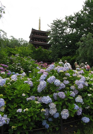 本土寺