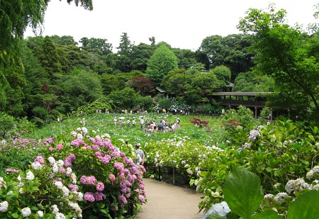 本土寺