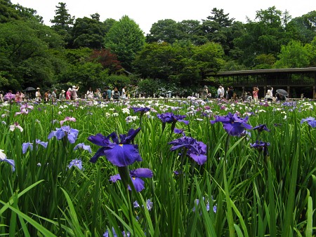 本土寺